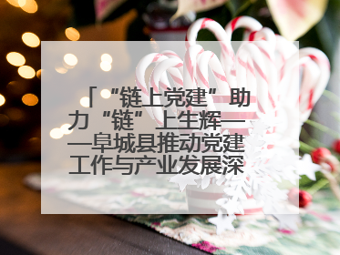 “链上党建”助力“链”上生辉——阜城县推动党建工作与产业发展深度融合