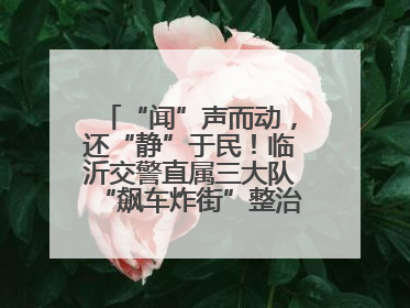 “闻”声而动，还“静”于民！临沂交警直属三大队“飙车炸街”整治进行中！