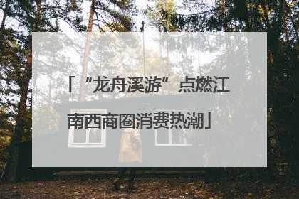 “龙舟溪游”点燃江南西商圈消费热潮
