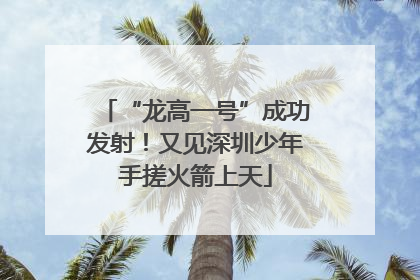 “龙高一号”成功发射！又见深圳少年手搓火箭上天