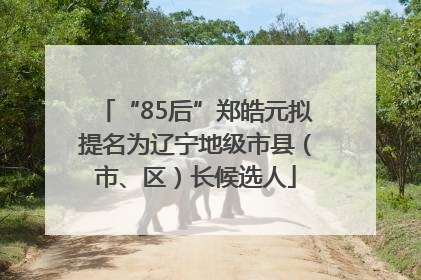 “85后”郑皓元拟提名为辽宁地级市县（市、区）长候选人