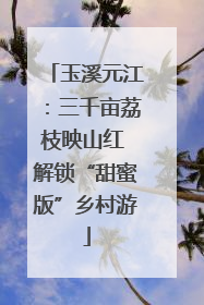 玉溪元江：三千亩荔枝映山红 解锁“甜蜜版”乡村游