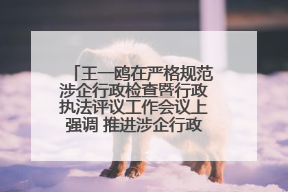 王一鸥在严格规范涉企行政检查暨行政执法评议工作会议上强调 推进涉企行政检查质效大幅提升