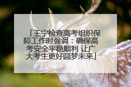 王宁检查高考组织保障工作时强调：确保高考安全平稳顺利 让广大考生更好圆梦未来