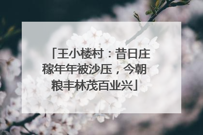 王小楼村：昔日庄稼年年被沙压，今朝粮丰林茂百业兴