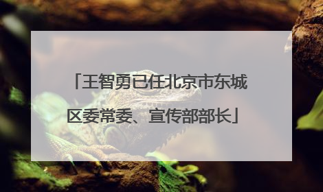王智勇已任北京市东城区委常委、宣传部部长