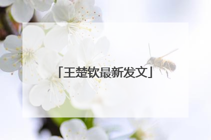 王楚钦最新发文