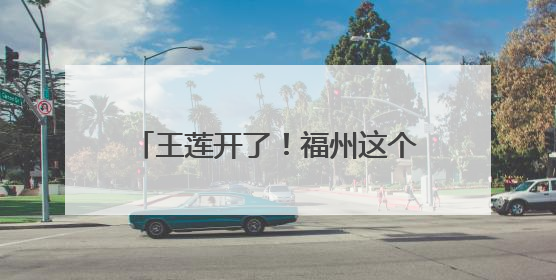 王莲开了！福州这个网红公园，上新了！