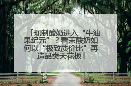 现制酸奶进入“牛油果纪元”？看茉酸奶如何以“极致质价比”再造品类天花板