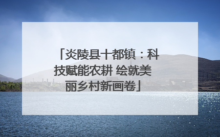 炎陵县十都镇：科技赋能农耕 绘就美丽乡村新画卷