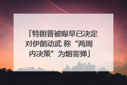 特朗普被曝早已决定对伊朗动武 称“两周内决策”为烟雾弹