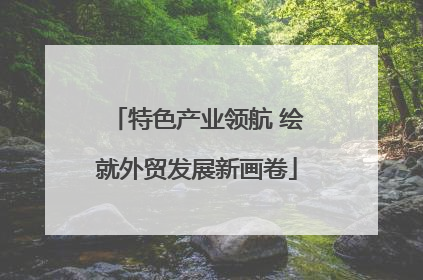 特色产业领航 绘就外贸发展新画卷