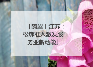 瞭望丨江苏：松绑准入激发服务业新动能