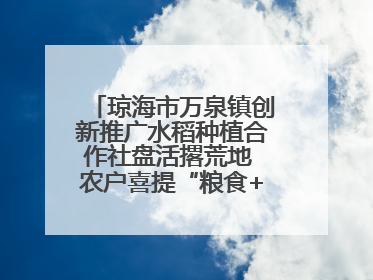 琼海市万泉镇创新推广水稻种植合作社盘活撂荒地 农户喜提“粮食+钞票”分红