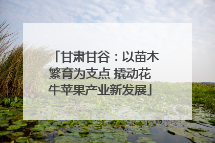 甘肃甘谷：以苗木繁育为支点 撬动花牛苹果产业新发展