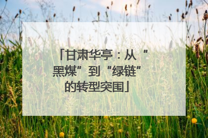 甘肃华亭：从“黑煤”到“绿链”的转型突围