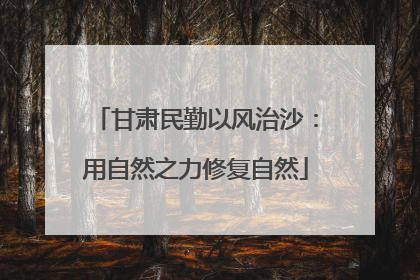 甘肃民勤以风治沙：用自然之力修复自然