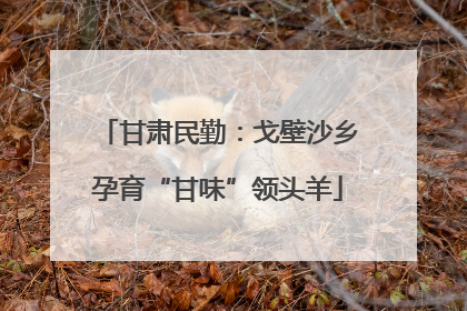 甘肃民勤：戈壁沙乡孕育“甘味”领头羊