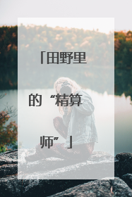 田野里的“精算师”