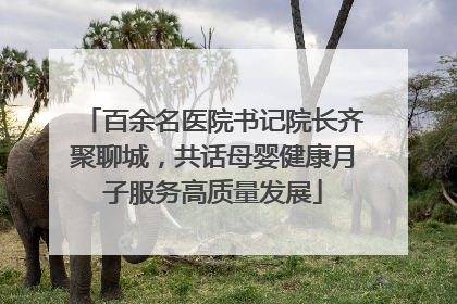 百余名医院书记院长齐聚聊城，共话母婴健康月子服务高质量发展