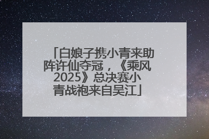 白娘子携小青来助阵许仙夺冠，《乘风2025》总决赛小青战袍来自吴江