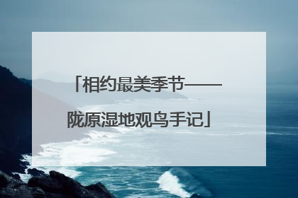 相约最美季节——陇原湿地观鸟手记