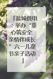 盐城供电：举办“童心筑安全 亲情伴成长”六一儿童节亲子活动