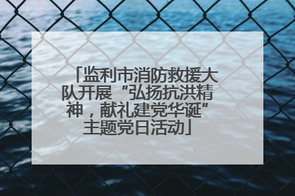 监利市消防救援大队开展“弘扬抗洪精神，献礼建党华诞”主题党日活动