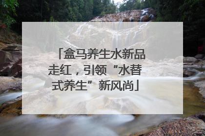 盒马养生水新品走红，引领“水替式养生”新风尚