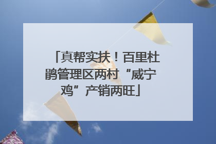 真帮实扶！百里杜鹃管理区两村“威宁鸡”产销两旺