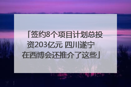 签约8个项目计划总投资203亿元 四川遂宁在西博会还推介了这些