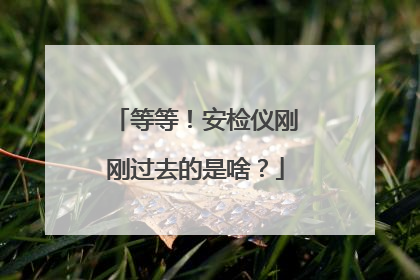 等等！安检仪刚刚过去的是啥？