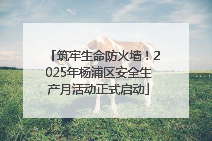 筑牢生命防火墙！2025年杨浦区安全生产月活动正式启动
