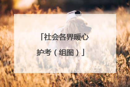 社会各界暖心护考（组图）