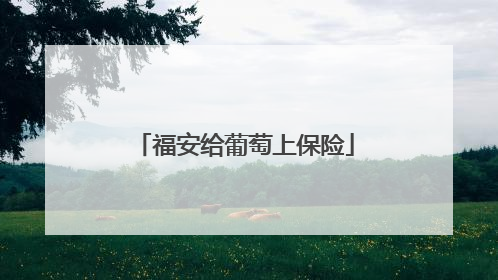 福安给葡萄上保险
