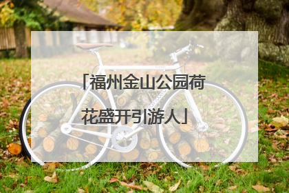 福州金山公园荷花盛开引游人