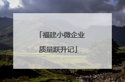 福建小微企业质量跃升记