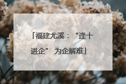 福建尤溪：“逢十进企” 为企解难
