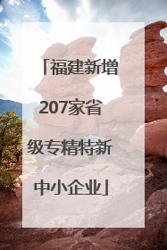 福建新增207家省级专精特新中小企业