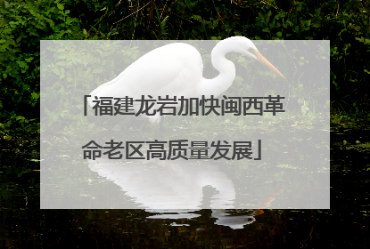 福建龙岩加快闽西革命老区高质量发展