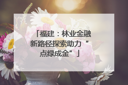 福建：林业金融新路径探索助力“点绿成金”