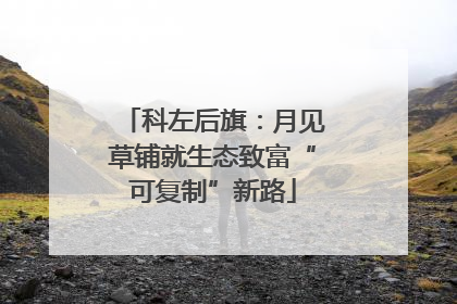 科左后旗：月见草铺就生态致富“可复制”新路