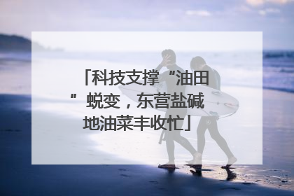 科技支撑“油田”蜕变，东营盐碱地油菜丰收忙