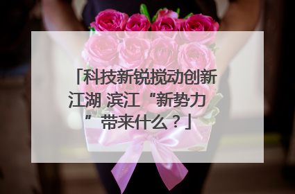 科技新锐搅动创新江湖 滨江“新势力”带来什么？
