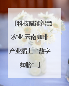 科技赋能智慧农业 云南咖啡产业插上“数字翅膀”