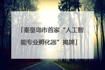 秦皇岛市首家“人工智能专业孵化器”揭牌