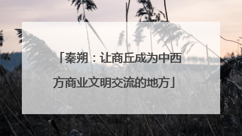 秦朔：让商丘成为中西方商业文明交流的地方