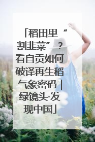 稻田里“割韭菜”？看自贡如何破译再生稻气象密码｜绿镜头·发现中国