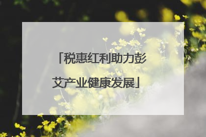 税惠红利助力彭艾产业健康发展