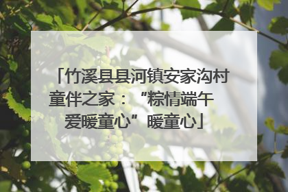 竹溪县县河镇安家沟村童伴之家：“粽情端午 爱暖童心”暖童心